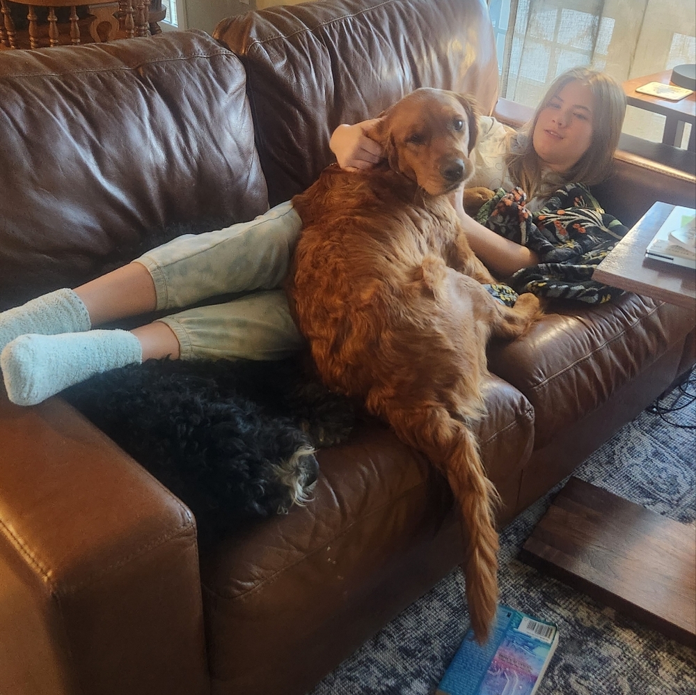 Gray Patagonia Better Sweater Coat - Picture 5 of 6